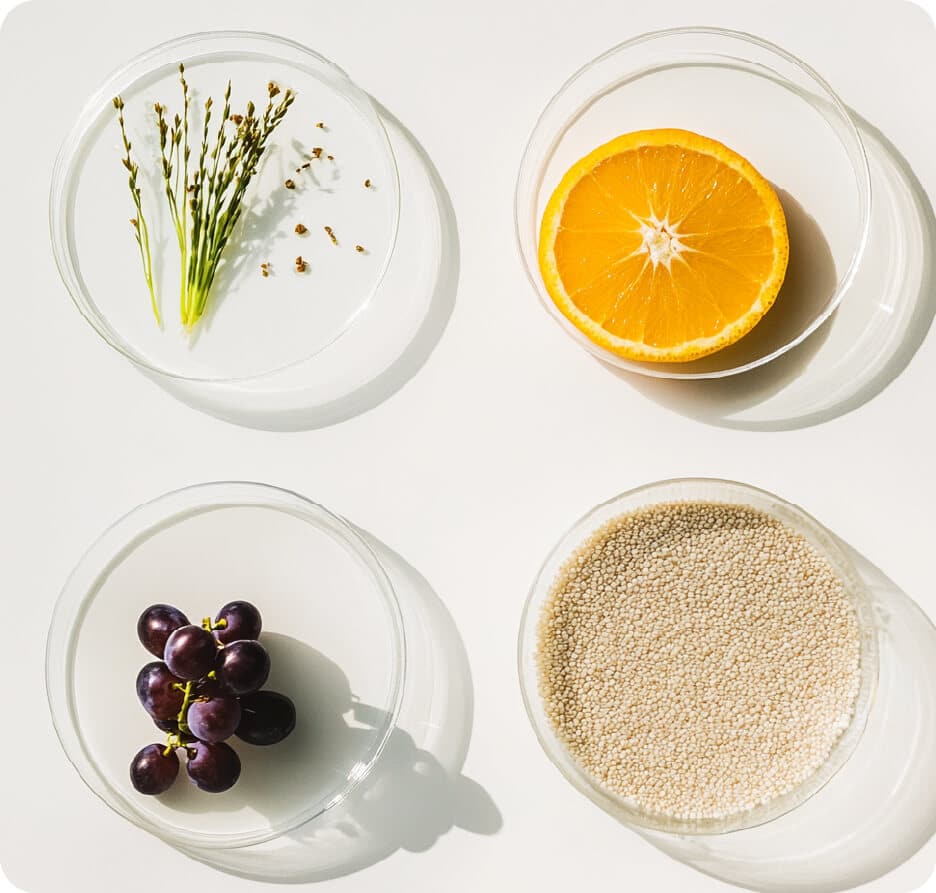 Natürliche Inhaltsstoffe von Hair Luxious – Hirse, Traubenkern, Orange und Vitamine in Labor-Petrischalen, Symbol für wissenschaftlich fundierte Haarpflege von innen. 